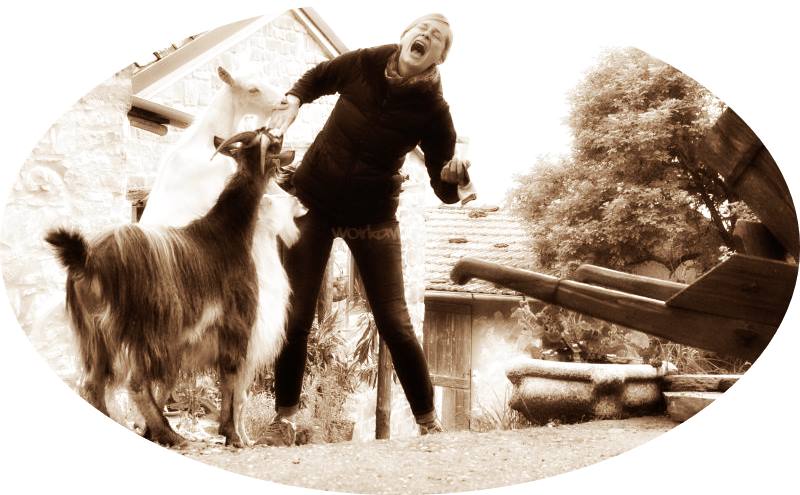 ensamble_sepia_arrotondato